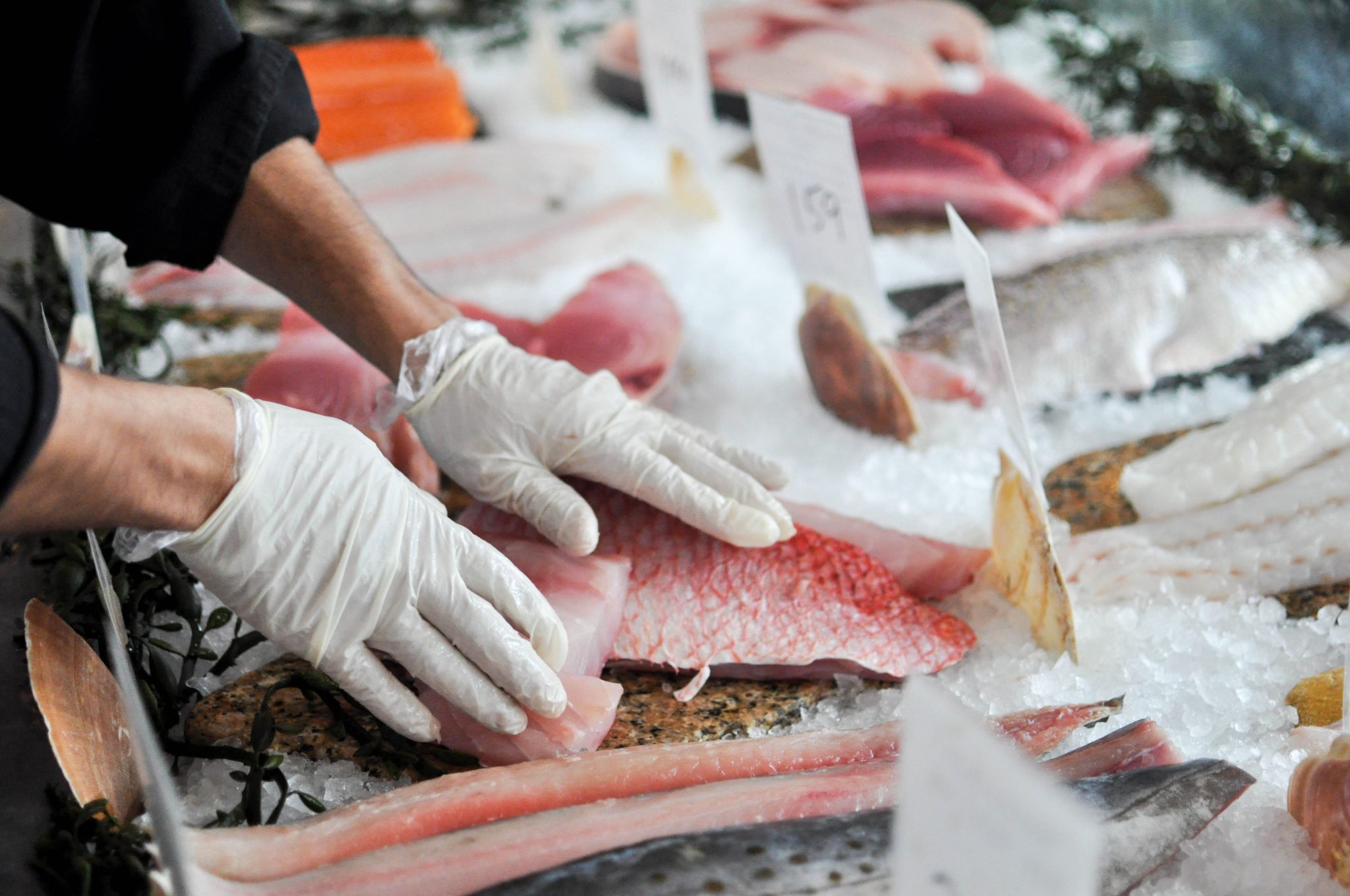 seafood-companies-call-for-robust-traceability-standards-for-all